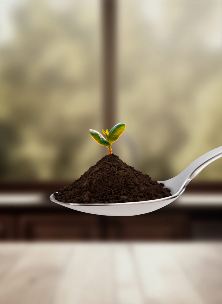 Cuchara con una planta creciendo encima